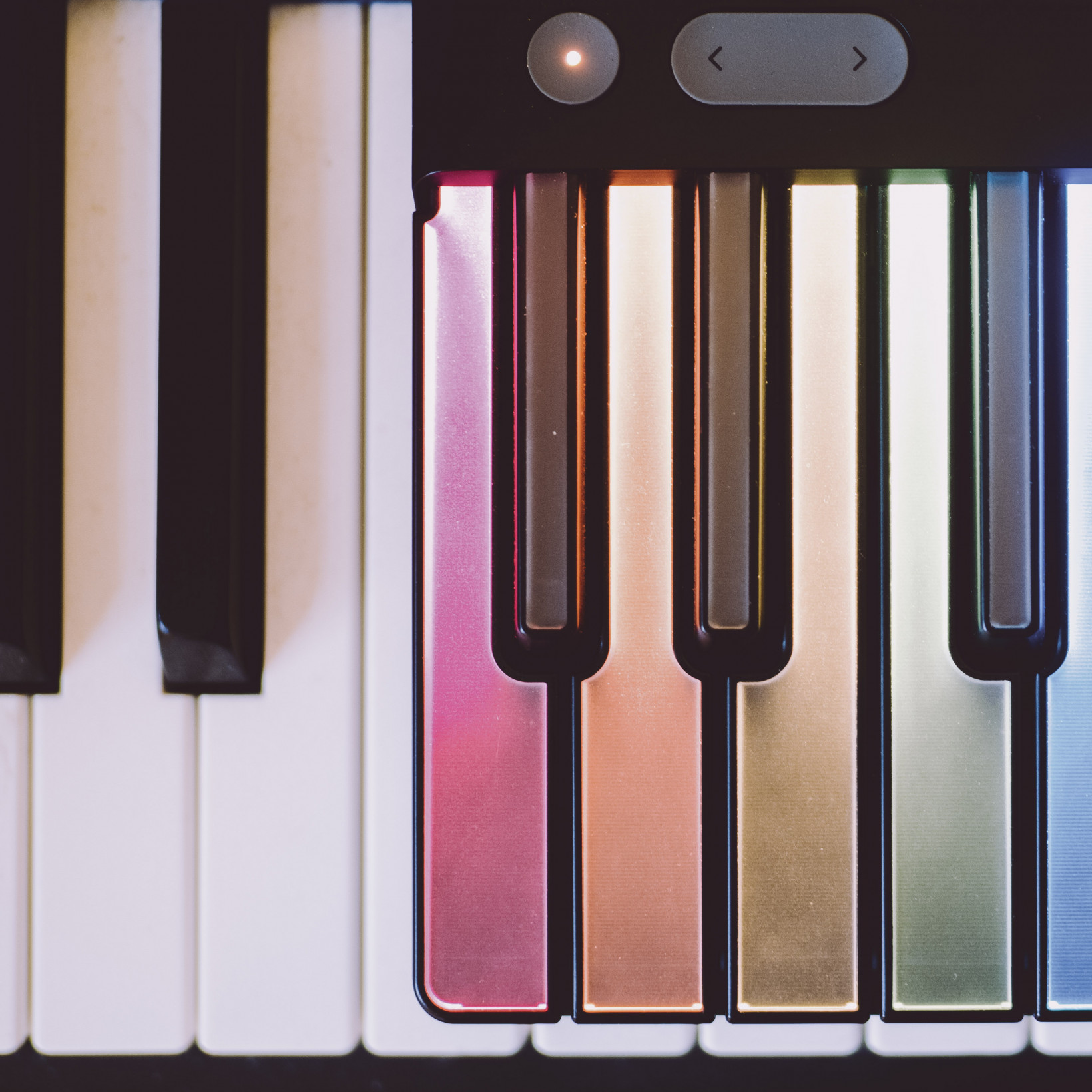 Roli-Lumi-4-of-4
