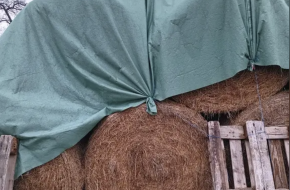 Prodám balíky sena průměr 120cm,